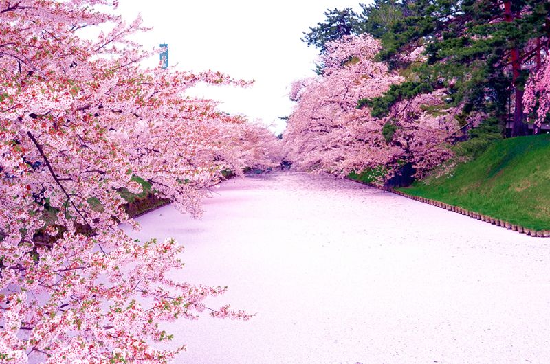 Hirosaki Park Hirosaki Park